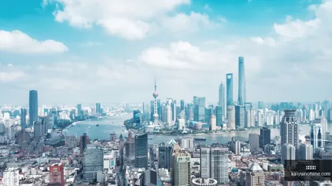 2026金摇杆大奖揭晓：年度最佳花落谁家提名名单大